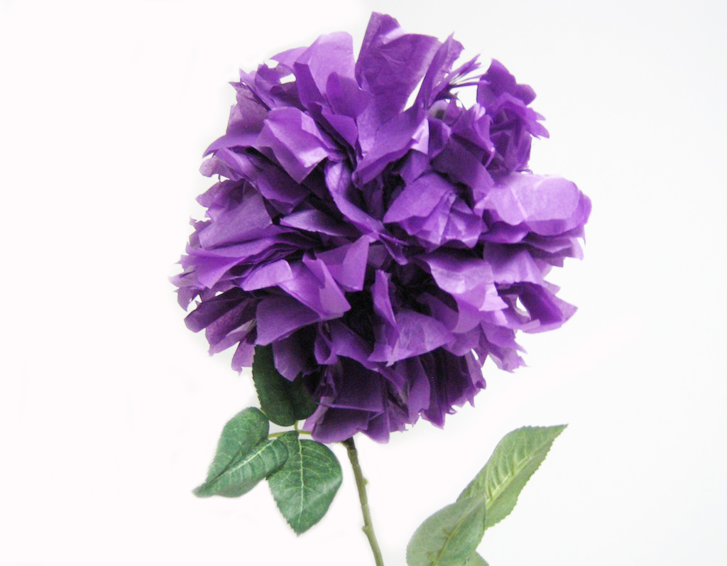 tissue_paper_flower