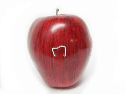 Apple Crafts for Fall: Decorating Apples with Bowdabra Bows Bow Crafts