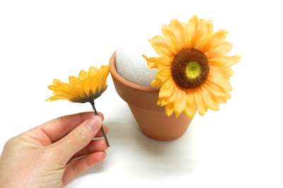 Terracotta Pot DIY Floral Crafts