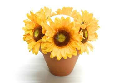 Sunflowers in the pot DIY Fall crafts