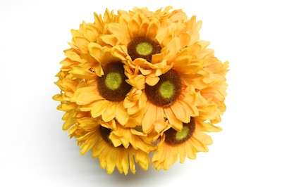 Floral Arrangement Floral Arrangement