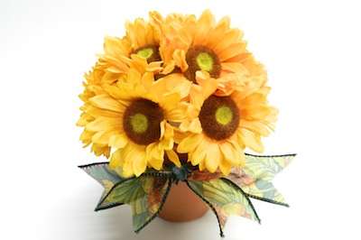 Ribbon Wire Ribbon Wire