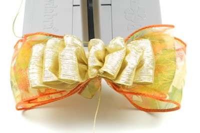 Beautiful Bowdabra Bow