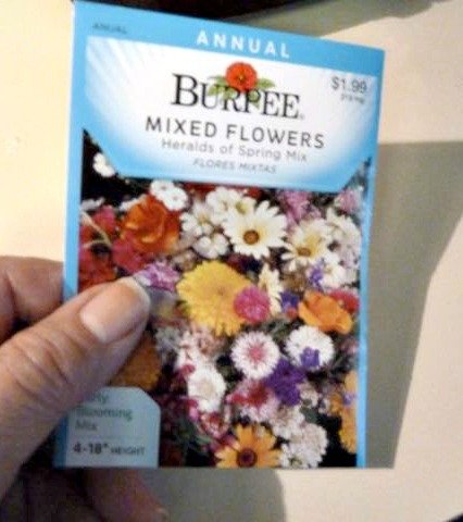 It's a Hoot! Owl Kids Craft for Thanksgiving Guests Fall Owl Crafts Tutorials