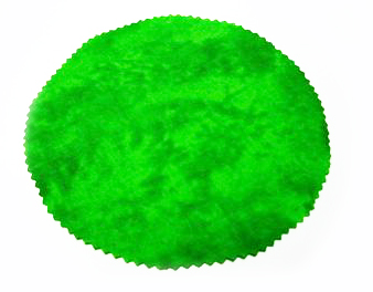 Holiday Food and Treats