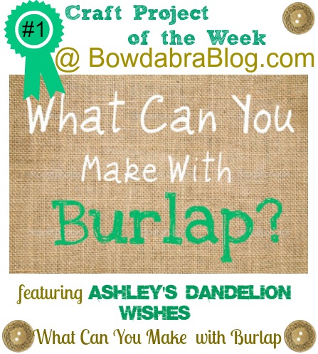 What Can you Make with Burlap Bowdabra Feature Friday