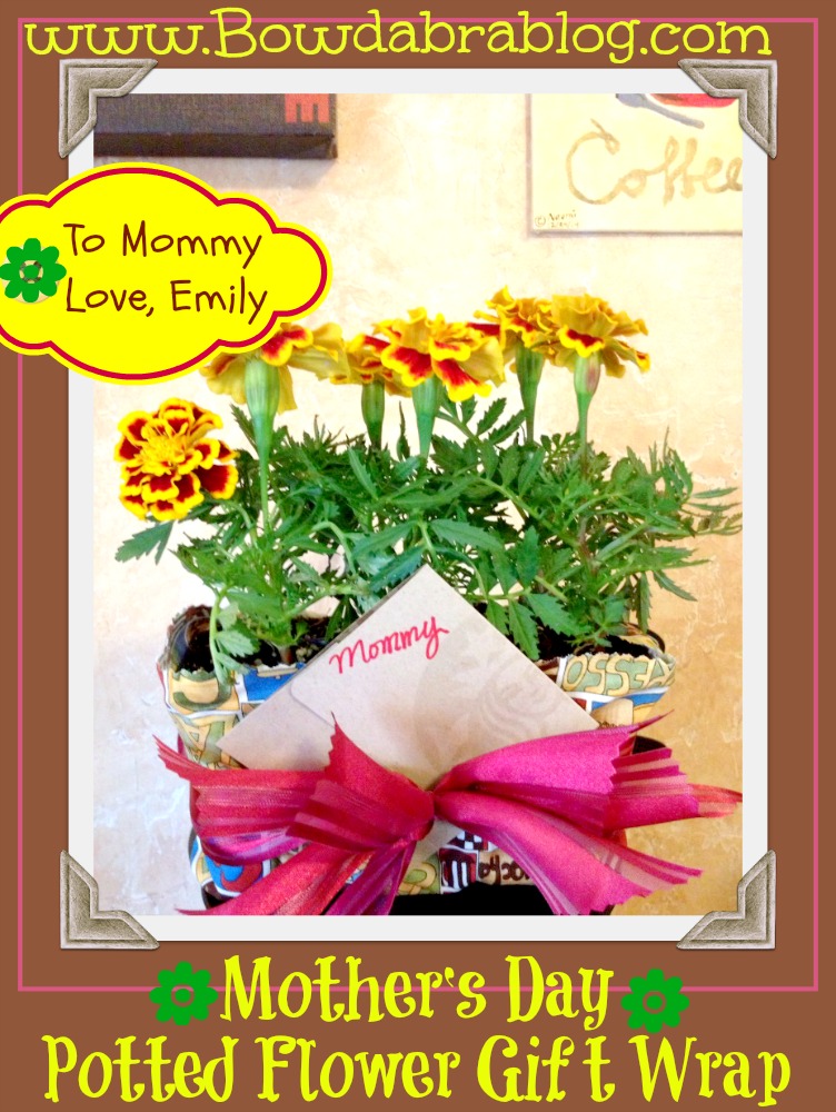 Mother's Day Potted Flower Wrapped Gift with Bowdabra Bow