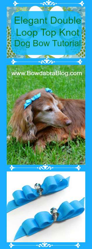 Elegant Double Loop Top Knot Dog Bow Tutorial