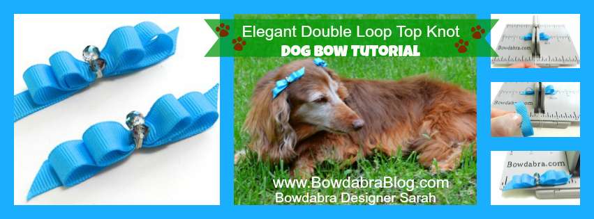 Elegant Double Loop Top Knot Dog Bow Tutorial