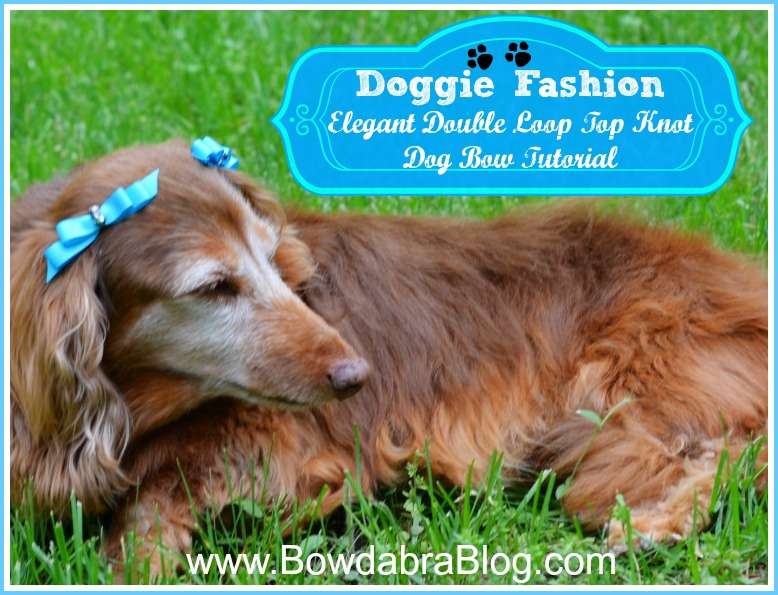 Elegant Double Loop Top Knot Dog Bow Tutorial