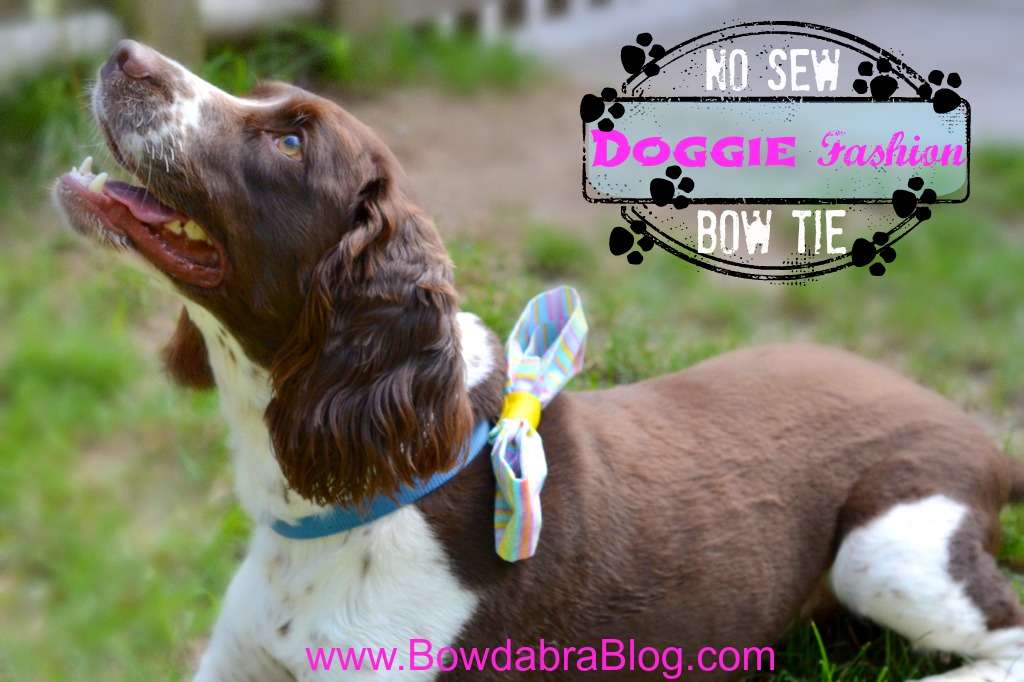 Bowdabra Doggy No Sew Bow Tie