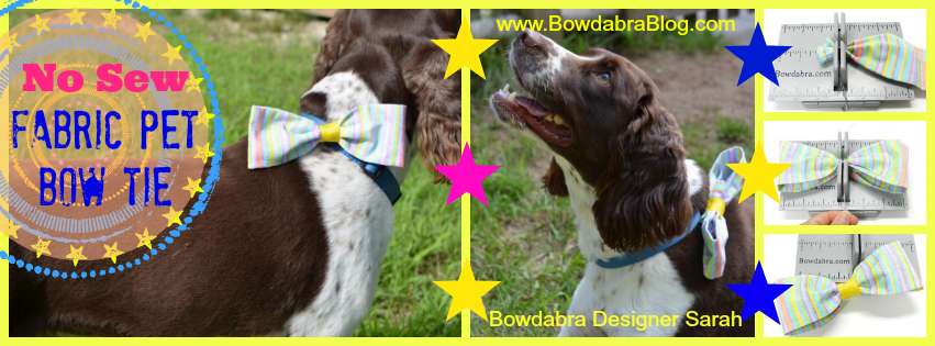 No Sew fabric pet bow tie Bowdabra Blog