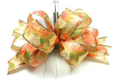 Fluffy Bow Thanksgiving cornucopia basket