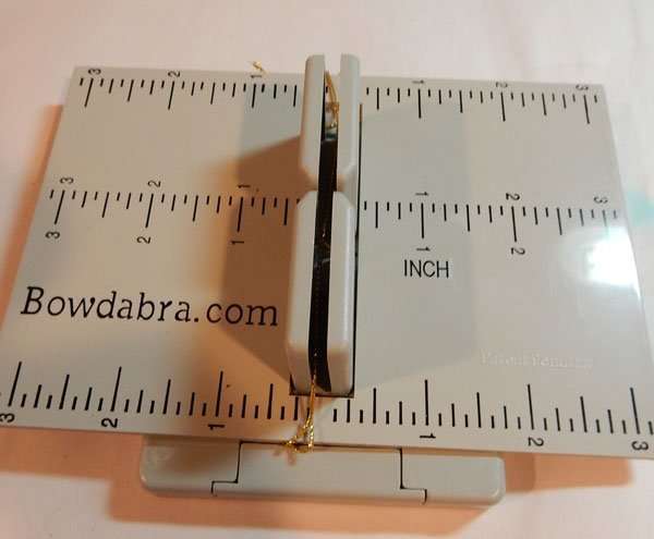 party-2-bowdabra-steph-ackerman