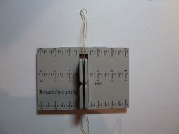 festive butterfly hair bow