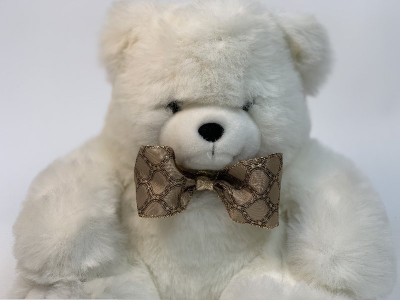 cute little bow tie for ring bearer