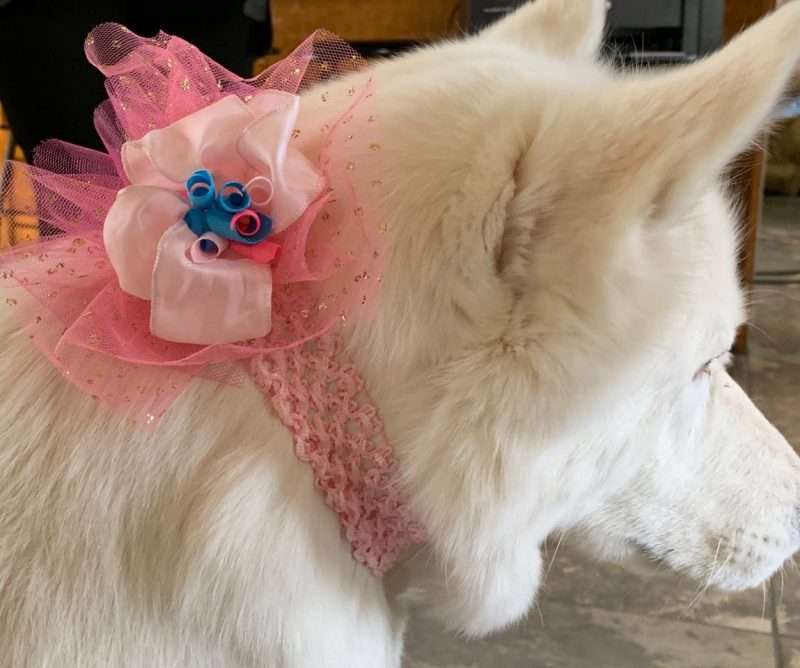 pretty little bow for girls’ headband