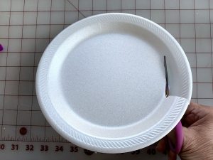 Stylish And Unique styrofoam plates For Events 