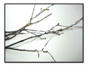 natural element centerpiece