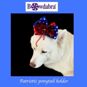 patriotic video DIY ideas