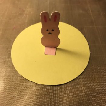 Glue Insert to Center of Top