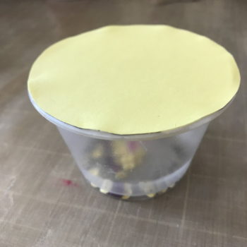 Glue Cardstock Cut Out to Container to Complete Easter Snow Globe