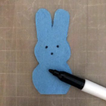 Add Eyes and Nose with Black Marker