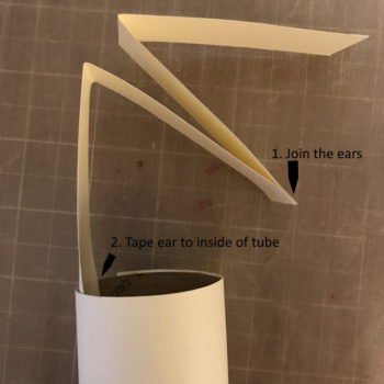 Glue Ears in Place Step 1 and 2