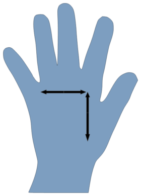 Measure Palm of Hand Print : Bowdabra