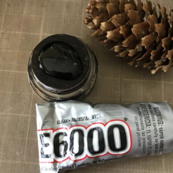 Glue Pinecone to Bottle Cap