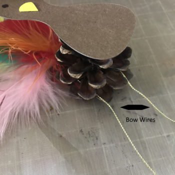 Tie Tail to Pine Cone