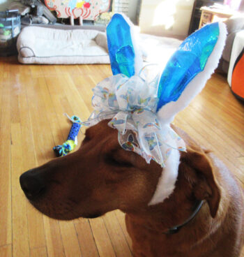 Easter bunny ears