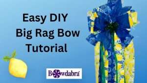 Video DIY-How to make a super easy, stunning, and colorful rag bow
