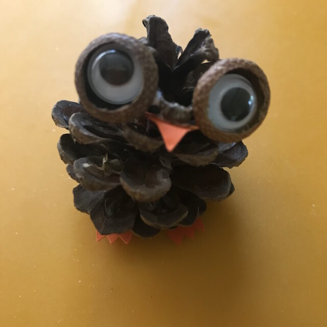 How to make a perfect autumn pine cone owl decorations