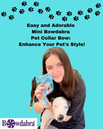 mini pet collar bow