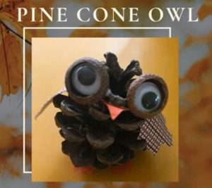 How to Make the Perfect Adorable Autumn Pine Cone Owl Decoration
