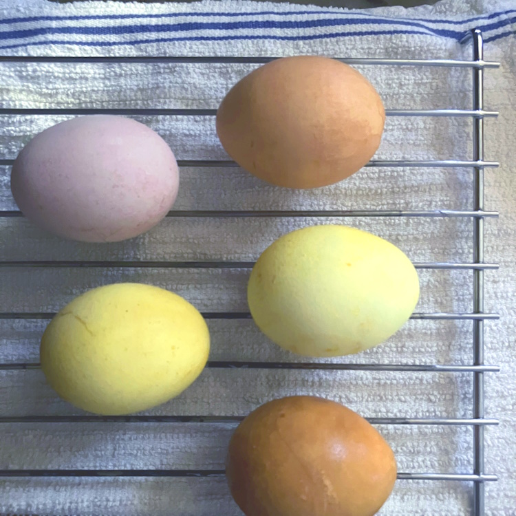 Dry Naturally Dyed Eggs on Wire Rack