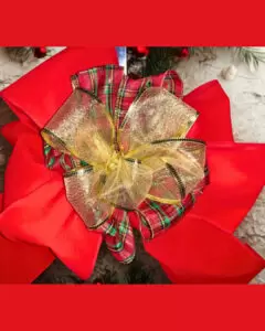 beautiful DIY bow.