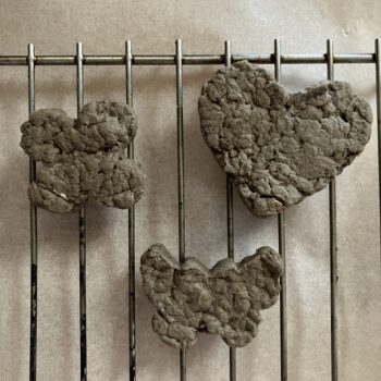 Arrange Seed Bombs on Rack to Dry