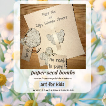 Paper Seed Bombs (Instagram)