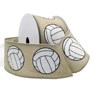 2-1/2" Sports Fun Ribbon Volleyball