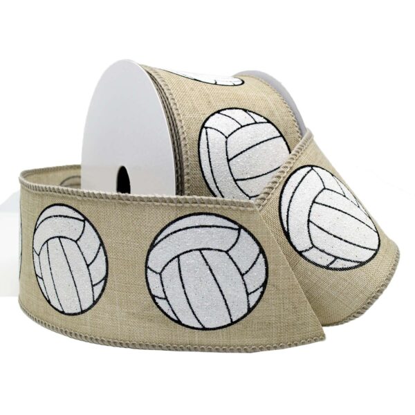 2-1/2" Sports Fun Ribbon Volleyball