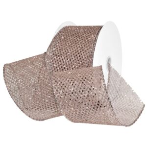 2-1/2" Frosted Ribbon