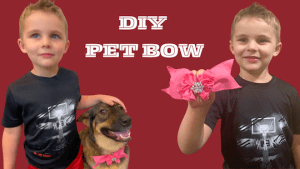 Hey kids! learn how to make the best pet collar bow