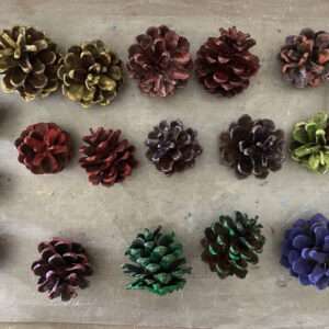 Painted Pinecones for Garland Set Aside for Drying