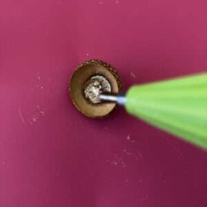 Fill Acorn Cap Half Full with Hot Glue