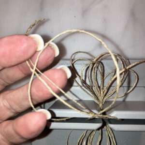 Pass Twine Ends through Loop