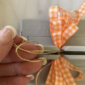 Pass Wire Ends through Loop