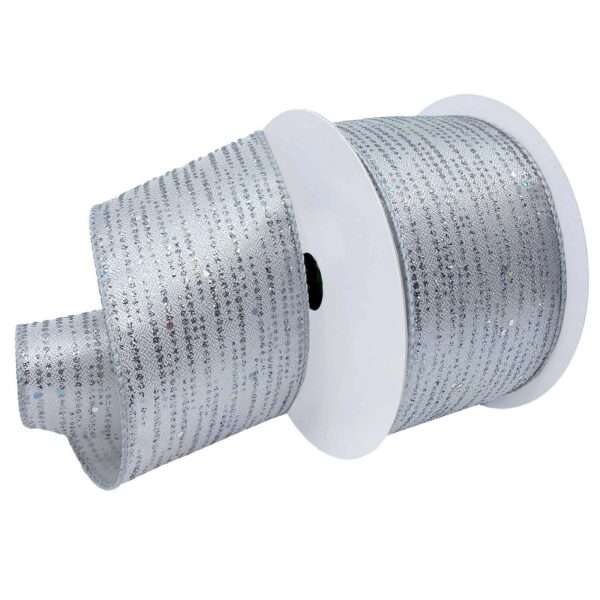 2-1/2" BORDERLINE 10YD Silver