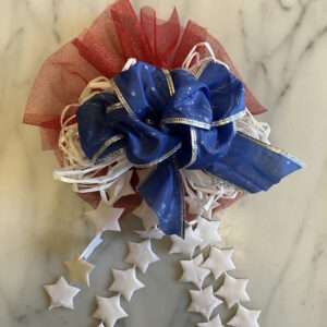 Repurposed Patriotic Focal Bow
